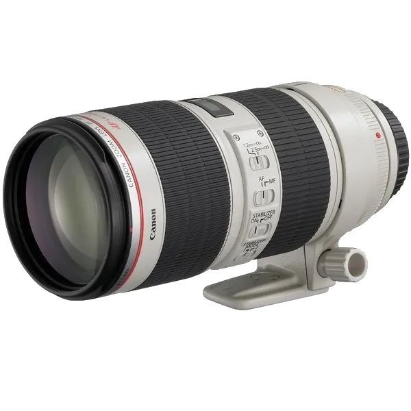 Canon