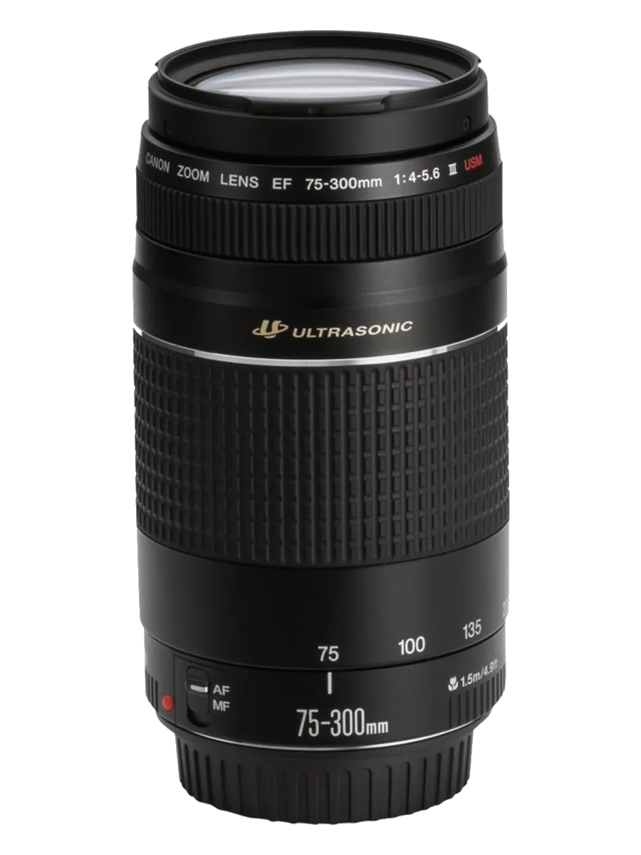 Canon